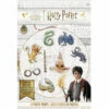 Official Harry Potter Photo Booth Props - Pack Of 8