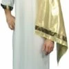 Roman Man Costume - Budget -Glamourguise Store product 63662 1 orig