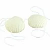 Shell Bra - Large Shell -Glamourguise Store product 64480 1 orig