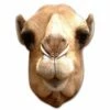 Camel Card Mask -Glamourguise Store product 82593 1 orig