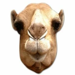Camel Card Mask