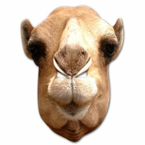 Camel Card Mask 3 Camel Card Mask