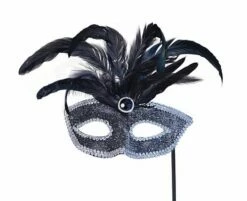 Black Mask With Silver Trim And Feathers
