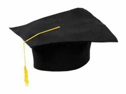 Graduation Hat